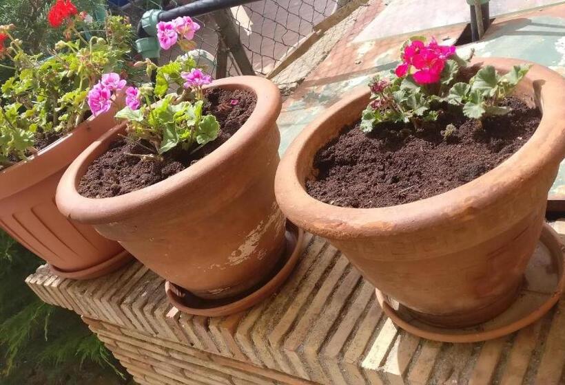 סוויטה משפחתית, Punta Aderci Rooms