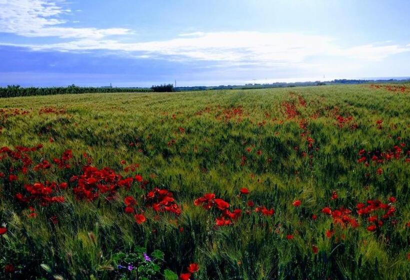 סוויטה משפחתית, Punta Aderci Rooms