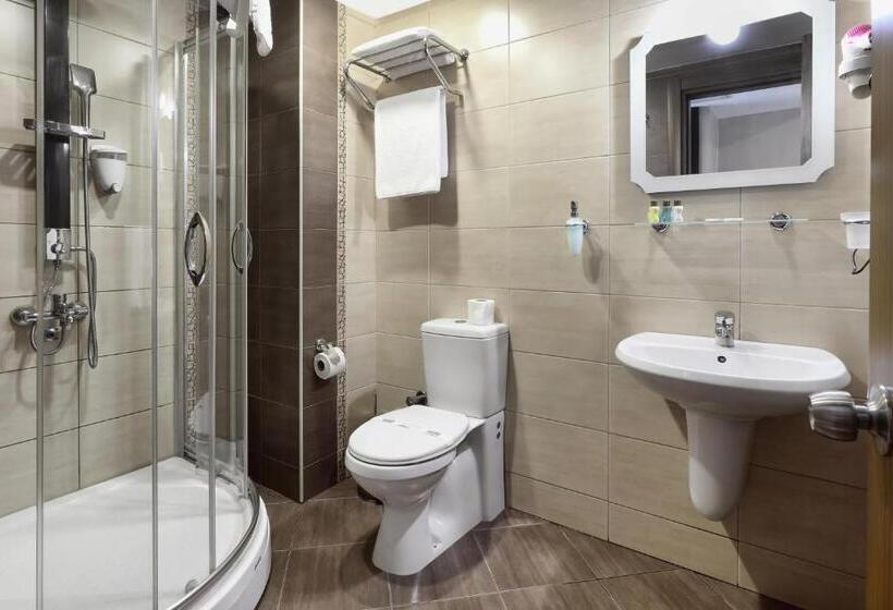 غرفة قياسية, New Balturk Hotel Izmit