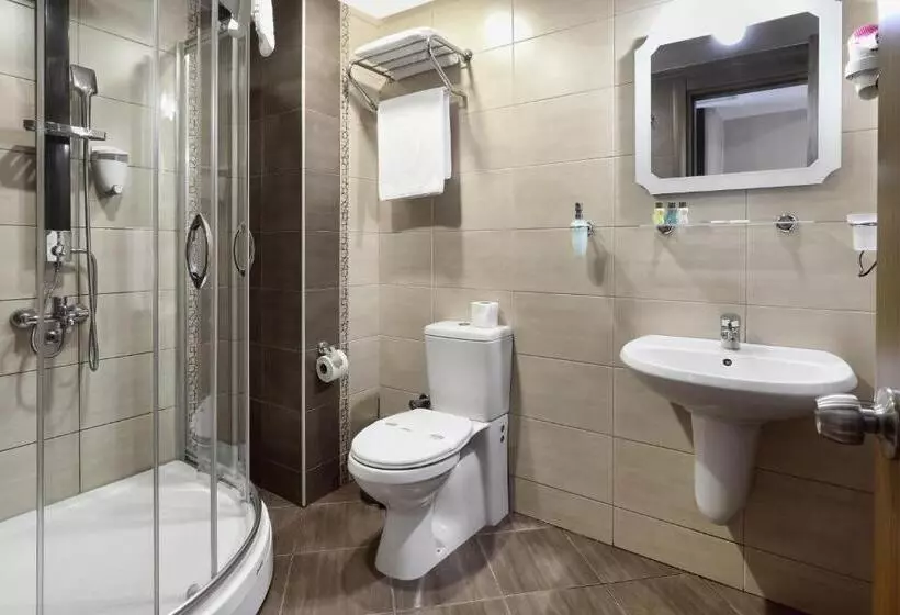 اتاق استاندارد, New Balturk Hotel Izmit