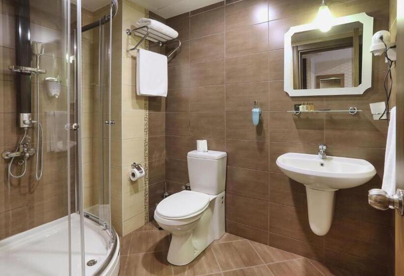 غرفة قياسية, New Balturk Hotel Izmit