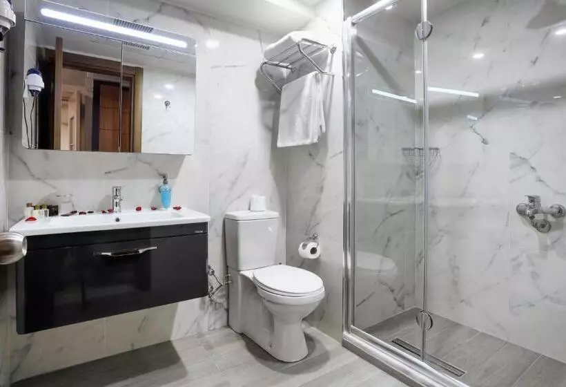 سوییت خانوادگی, New Balturk Hotel Izmit