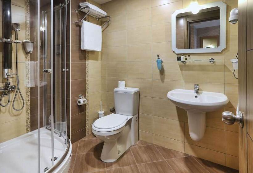 غرفة قياسية, New Balturk Hotel Izmit