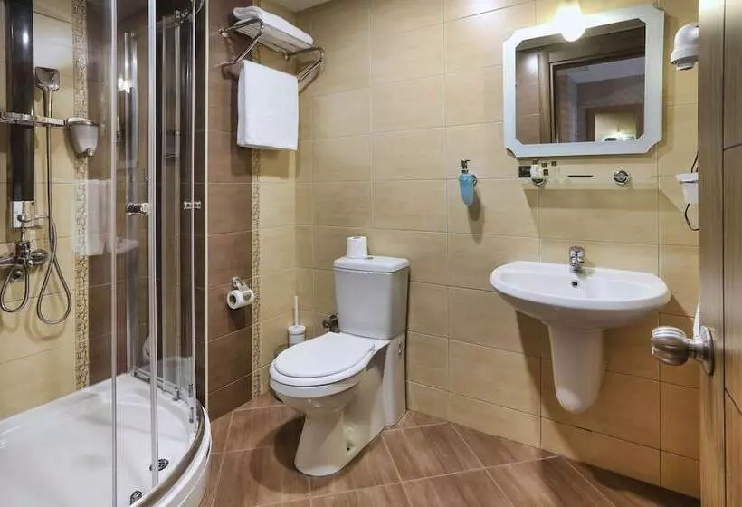 اتاق استاندارد, New Balturk Hotel Izmit