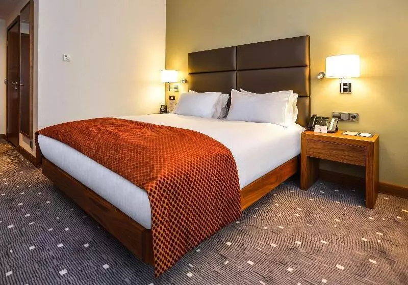 スタンダードルーム, Doubletree By Hilton Hotel Lodz