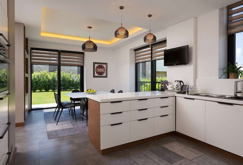 ویلای یک اتاق خوابه با استخر شنا, Radisson Collection Paradise Resort And Spa, Sochi