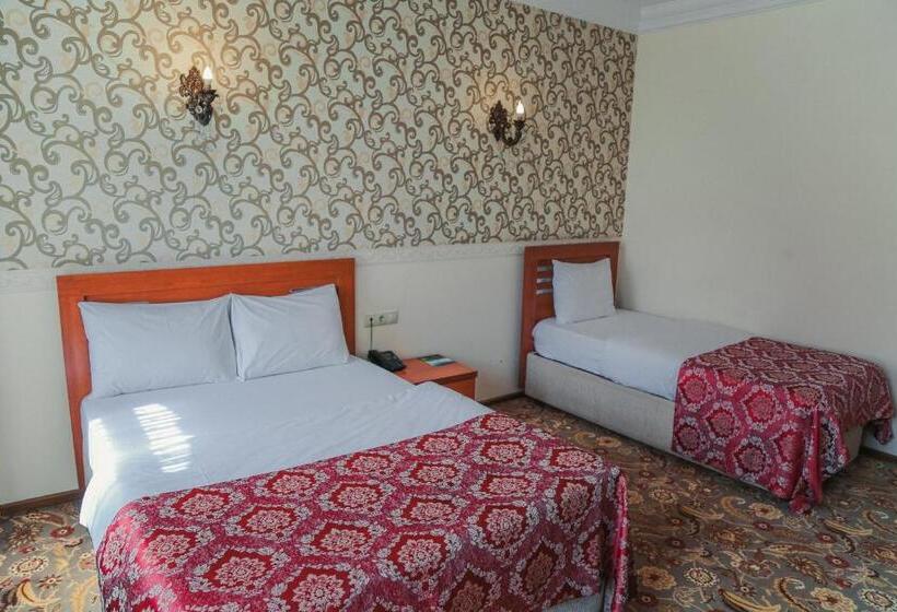 اتاق استاندارد, Ts Park