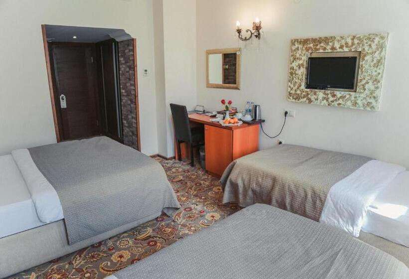 اتاق استاندارد سه نفره, Ts Park