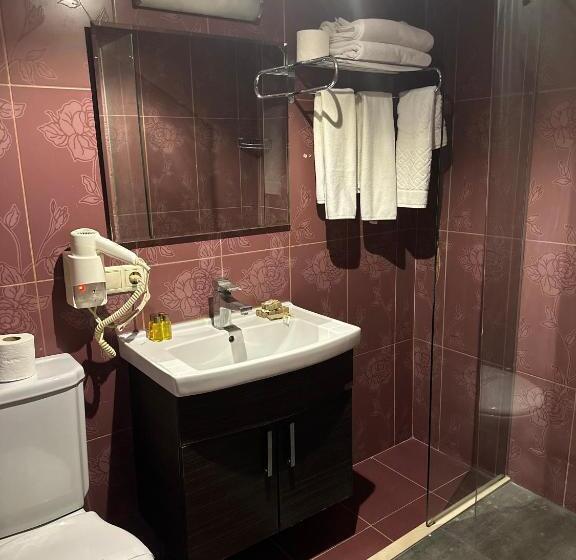 سوئیت خانوادگی اقتصادی, Ts Park