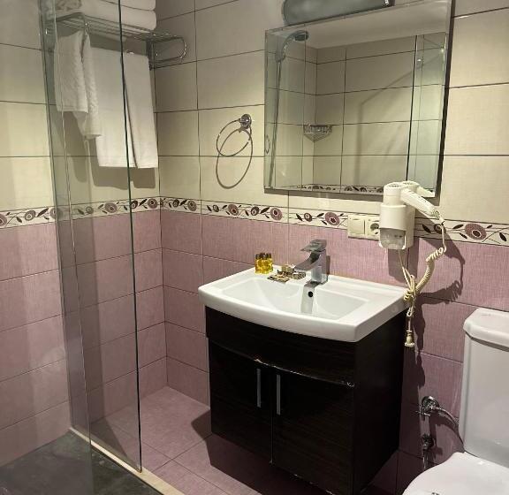 اتاق اکونومی, Ts Park