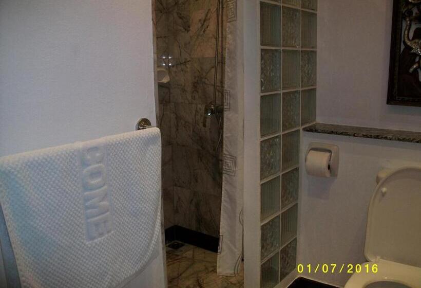 침실 1개 수피리어 아파트, The Oriental Tropical Beach At Vip Resort