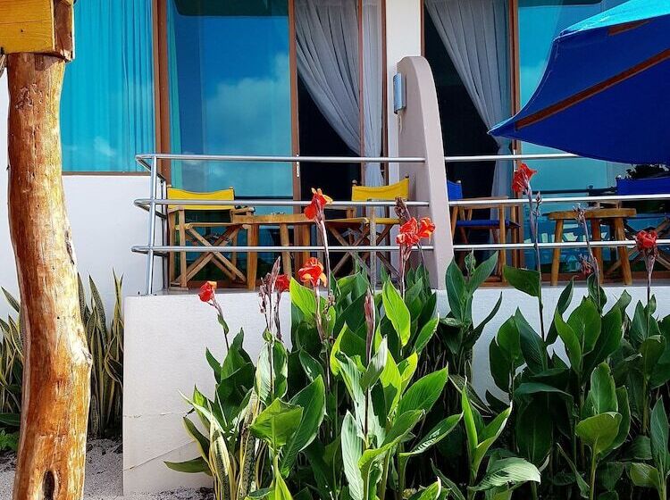 اتاق اساندارد با چشمانداز جانبی به دریا, Solymar