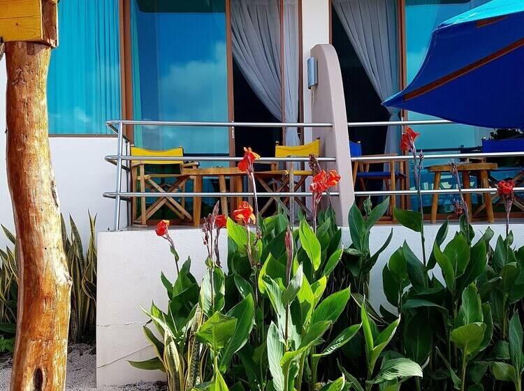 اتاق اساندارد با چشمانداز جانبی به دریا, Solymar