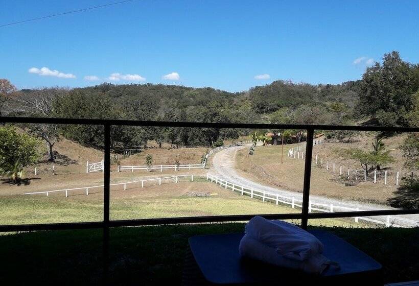 ファミリーステューディオ, Vida Aventura Ranch