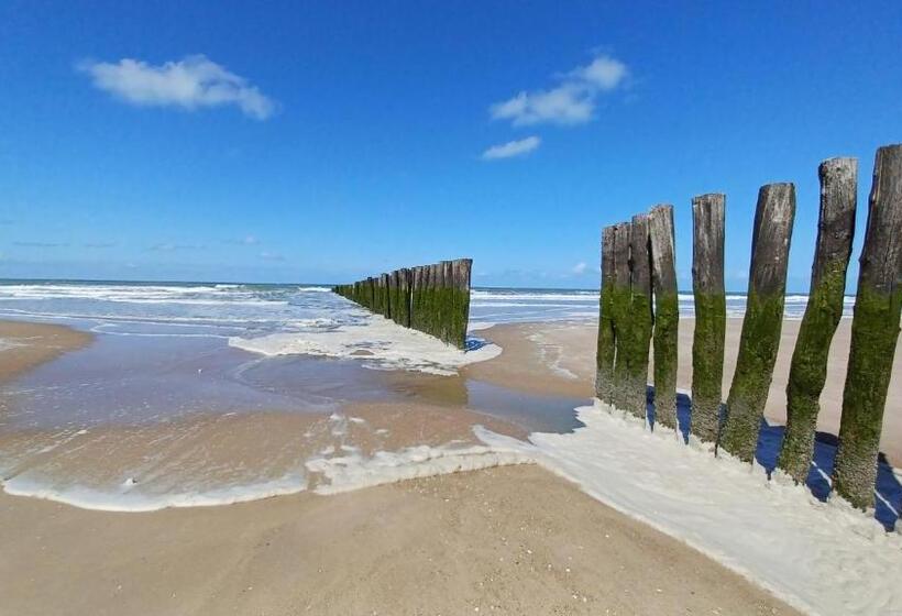 غرفة قياسية مطلّة علي الحديقة, La Carte Postale