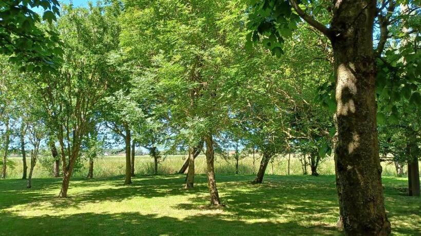 חדר סופריור עם מיטת קינג, La Carte Postale