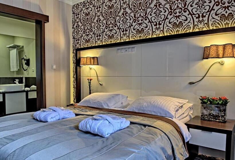 اتاق کلاسیک, Czarny Potok Resort Spa & Conference