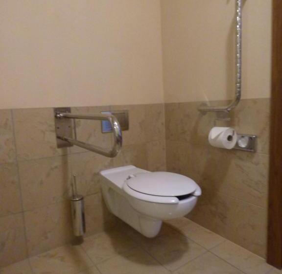 اتاق استاندارد یک تخته برای معلولان, Czarny Potok Resort Spa & Conference