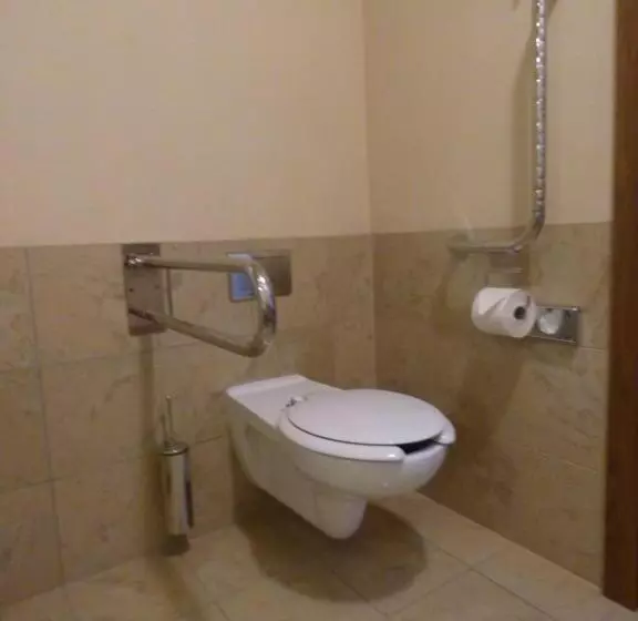 اتاق استاندارد یک تخته برای معلولان, Czarny Potok Resort Spa & Conference
