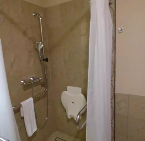 اتاق استاندارد یک تخته برای معلولان, Czarny Potok Resort Spa & Conference