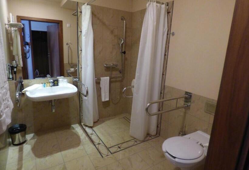 اتاق استاندارد یک تخته برای معلولان, Czarny Potok Resort Spa & Conference