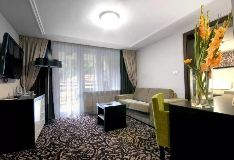 اتاق سوپریور خانوادگی, Czarny Potok Resort Spa & Conference