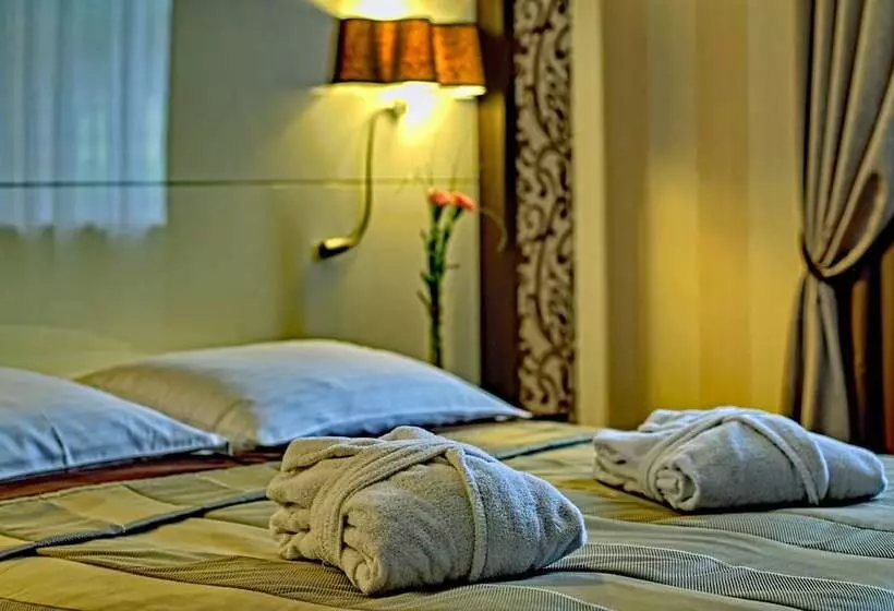 اتاق کلاسیک, Czarny Potok Resort Spa & Conference