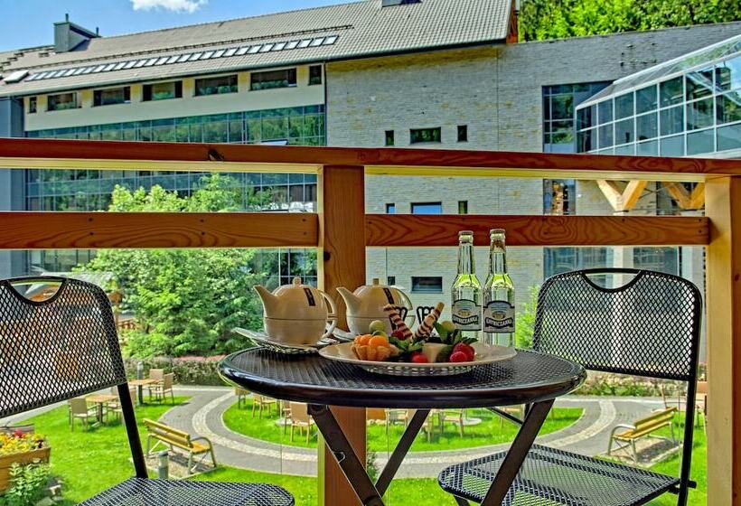 Полулюкс, Czarny Potok Resort Spa & Conference