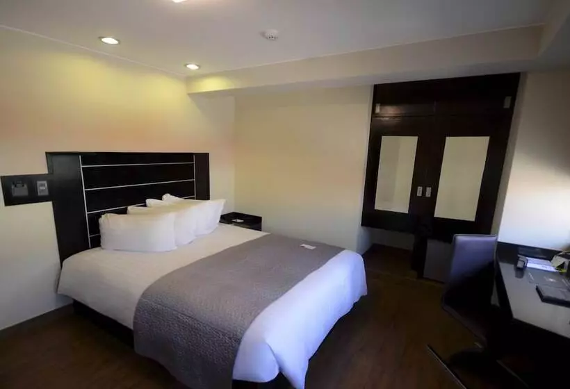 デラックススイート, Qp Hotels Arequipa