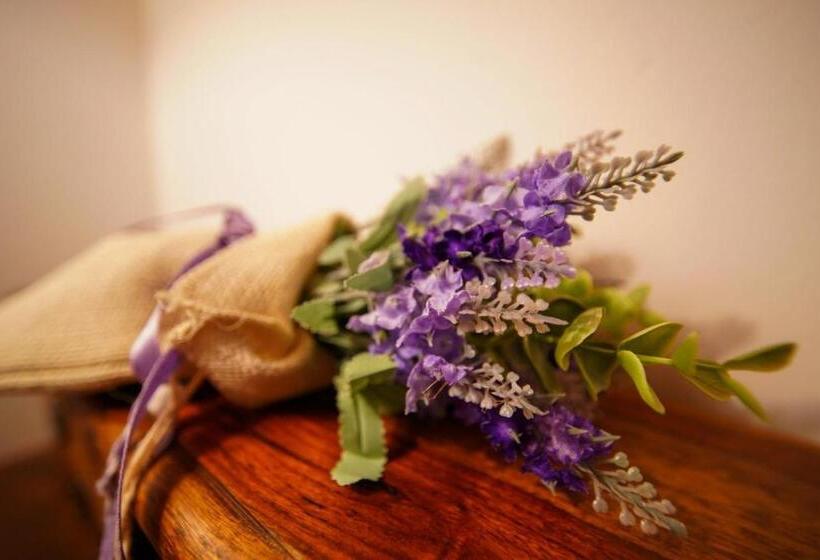 标准间, Fonte Murata B&b