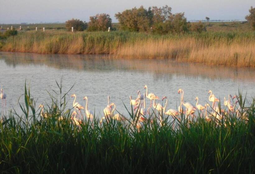 اتاق استاندارد با چشمانداز دریاچه, Chambre Les Flamants, Vue Sur Les étangs, Les Oiseaux, Les Flamants, Petit Déjeuner Compris