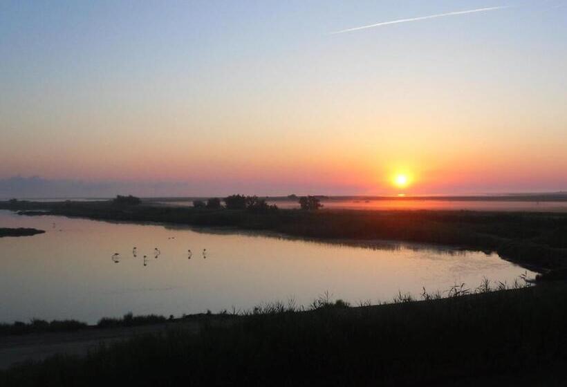 اتاق استاندارد با چشمانداز دریاچه, Chambre Les Flamants, Vue Sur Les étangs, Les Oiseaux, Les Flamants, Petit Déjeuner Compris