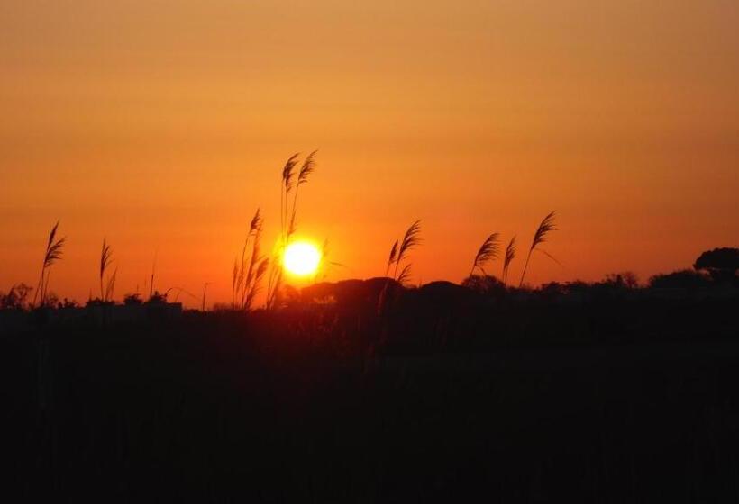 اتاق استاندارد با چشمانداز دریاچه, Chambre Les Flamants, Vue Sur Les étangs, Les Oiseaux, Les Flamants, Petit Déjeuner Compris