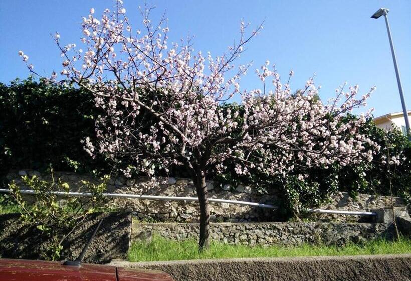 Triple Room Sea View, Oasi Del Cuore Due Graziose Camere Con Vista Mare A 7 Min Dal Mare Di Castiglioncello