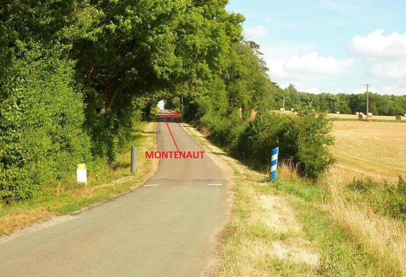 Номер Стандарт, Montenaut