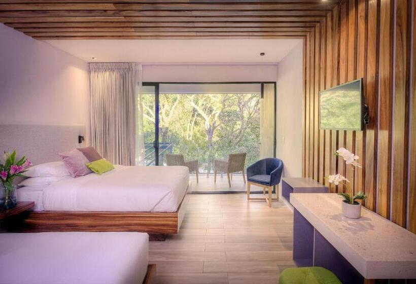 اتاق استاندارد با تخت دو نفره بزرگ, Ocotea Boutique