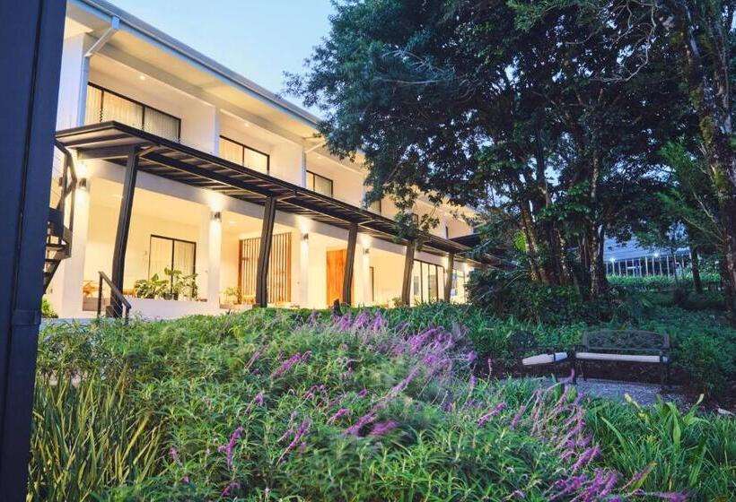 اتاق استاندارد با تخت بزرگ, Ocotea Boutique