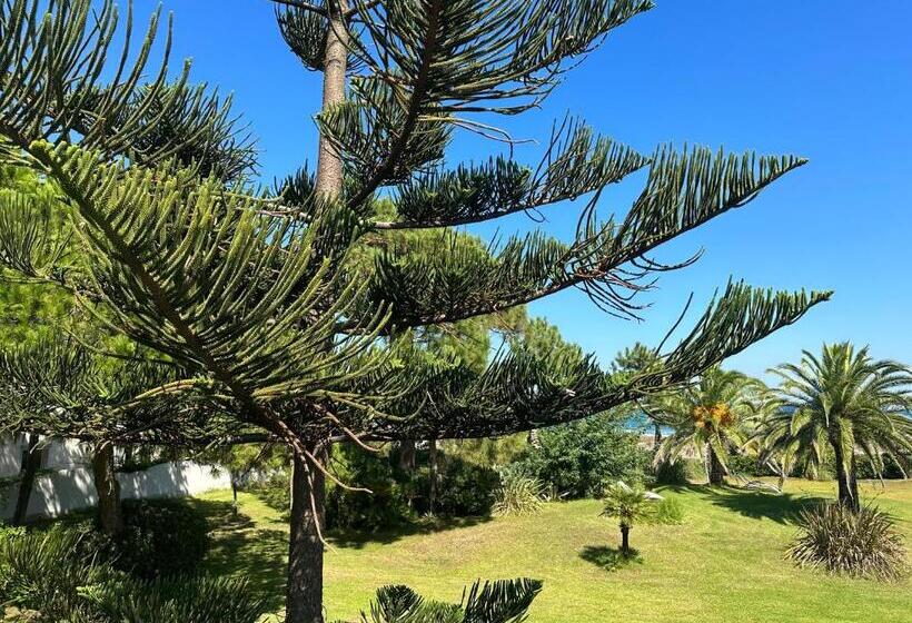 شقة غرفة واحدة مطلة على البحر, Résidence Les Chênes