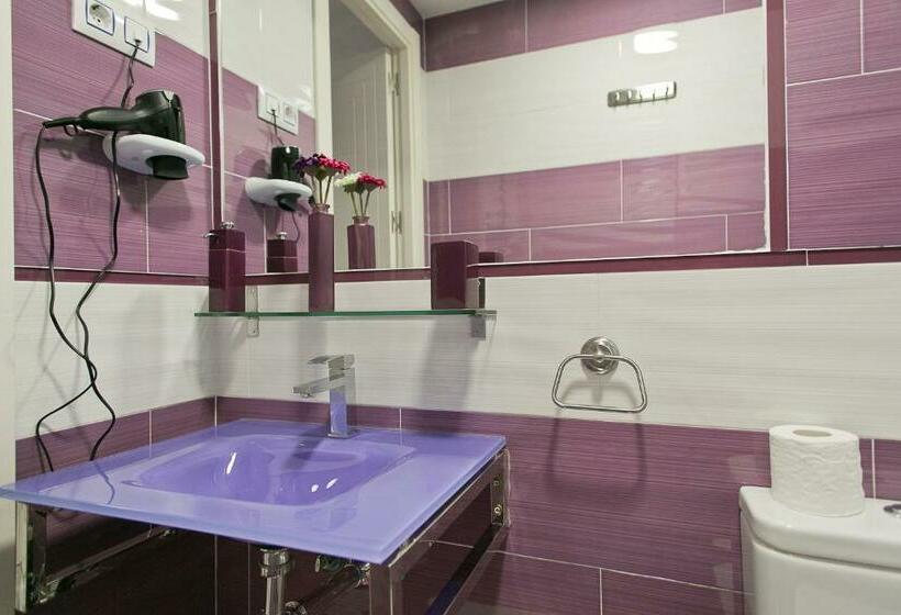 اتاق استاندارد یک نفره, Hostal Alexis Madrid