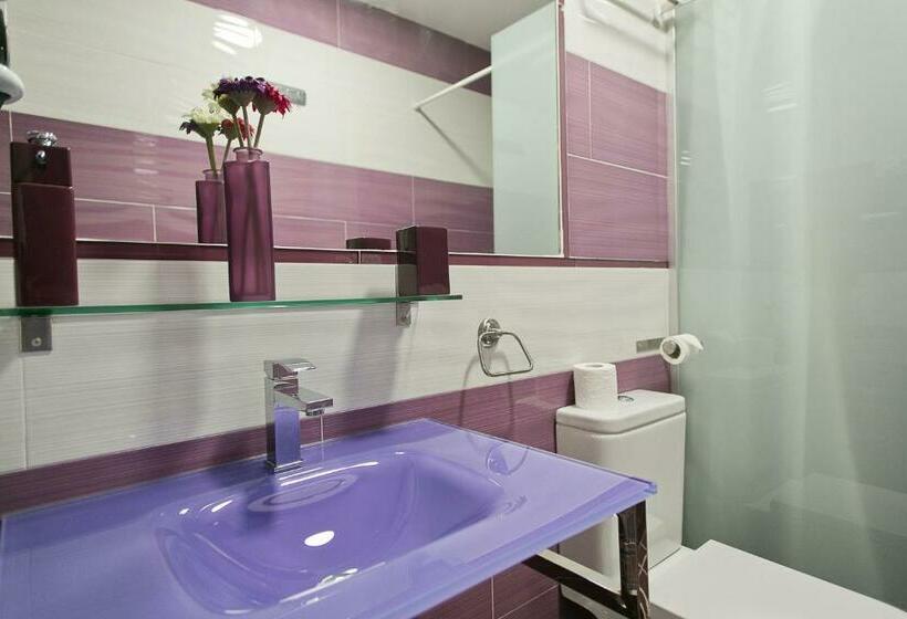 اتاق استاندارد یک نفره, Hostal Alexis Madrid