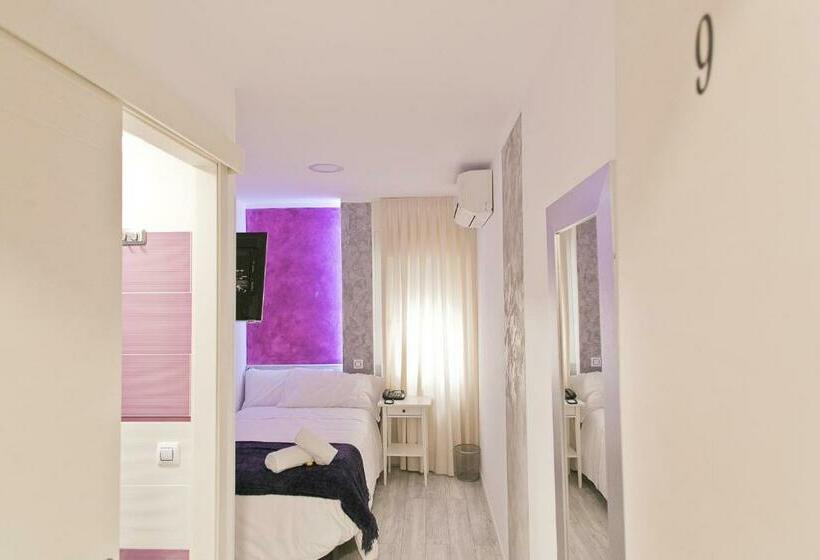اتاق استاندارد یک نفره, Hostal Alexis Madrid