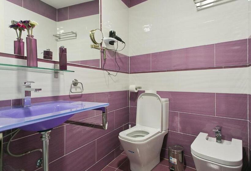 اتاق سوپریور, Hostal Alexis Madrid