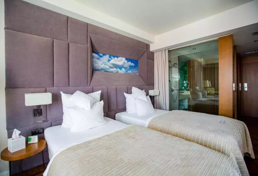 デラックスルーム, Grand Hotel Boutique
