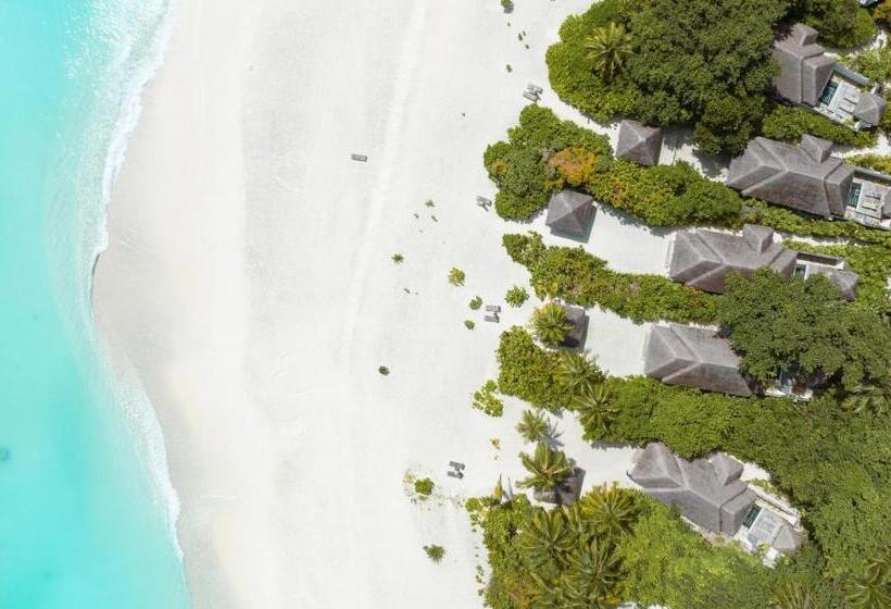 ویلای یک اتاق خوابه با استخر شنا, Ja Manafaru, Maldives