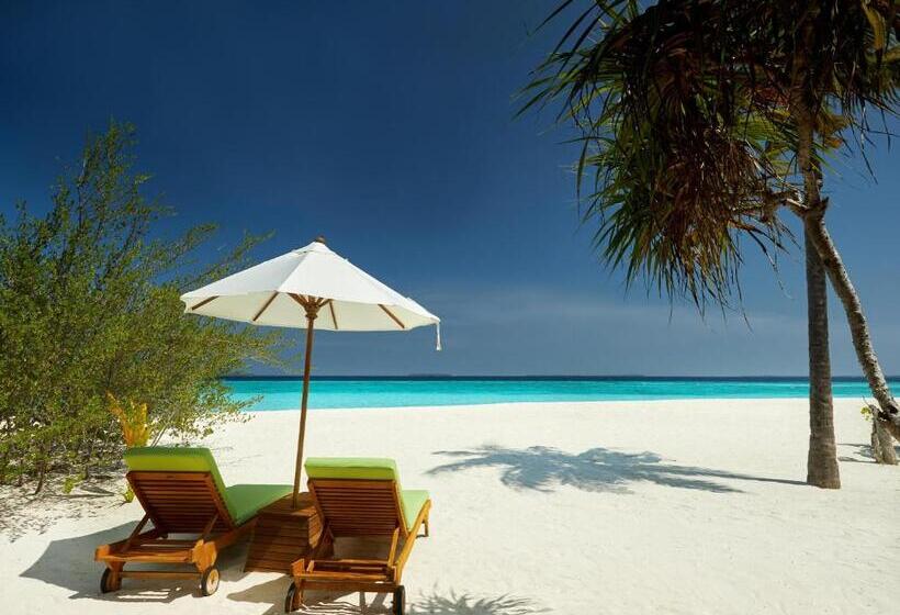 ویلای یک اتاق خوابه با استخر شنا, Ja Manafaru, Maldives