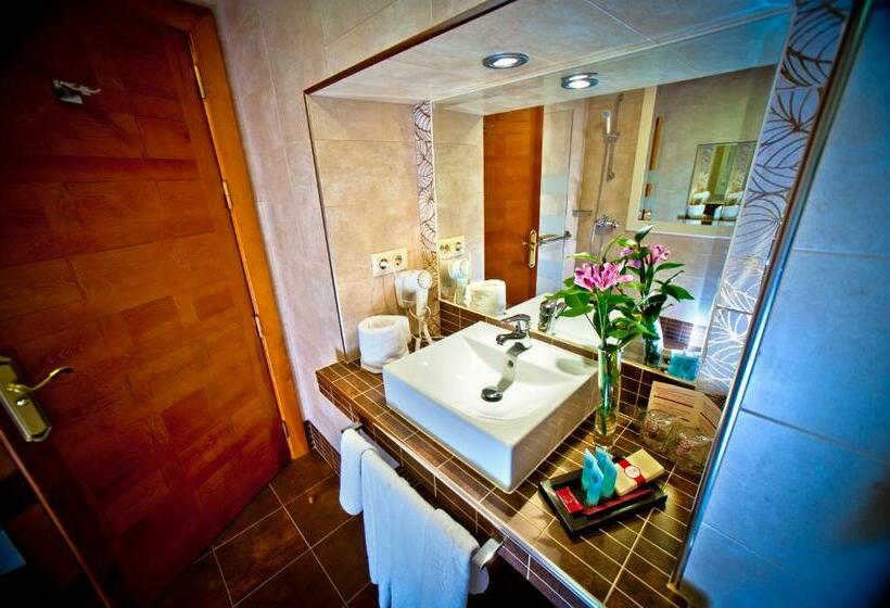 اتاق استاندارد, Condes De Castilla