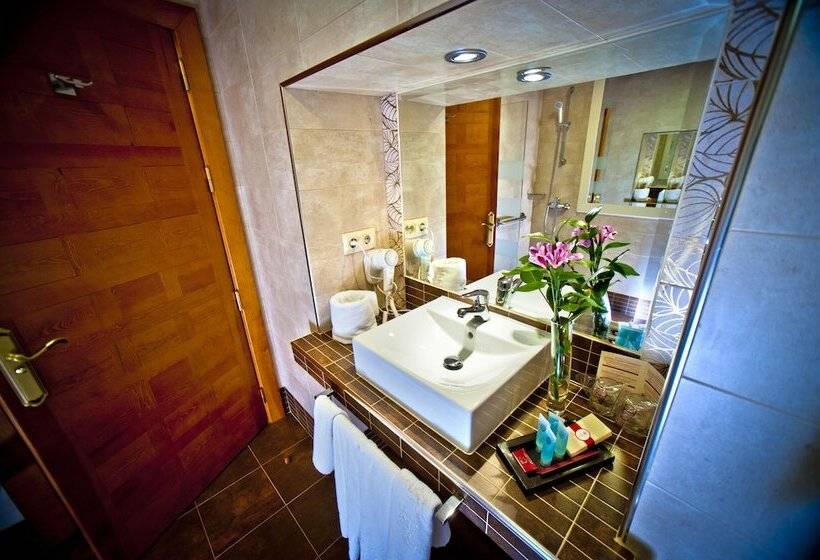 اتاق استاندارد یک نفره, Condes De Castilla