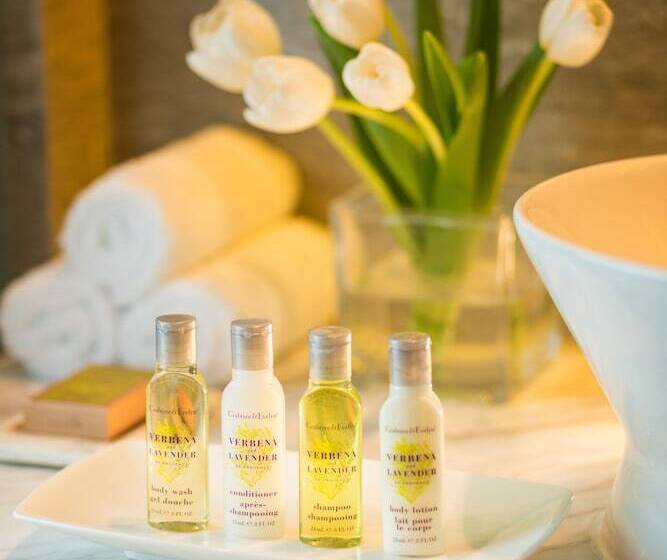 Executive Værelse, Doubletree By Hilton Jakarta   Diponegoro