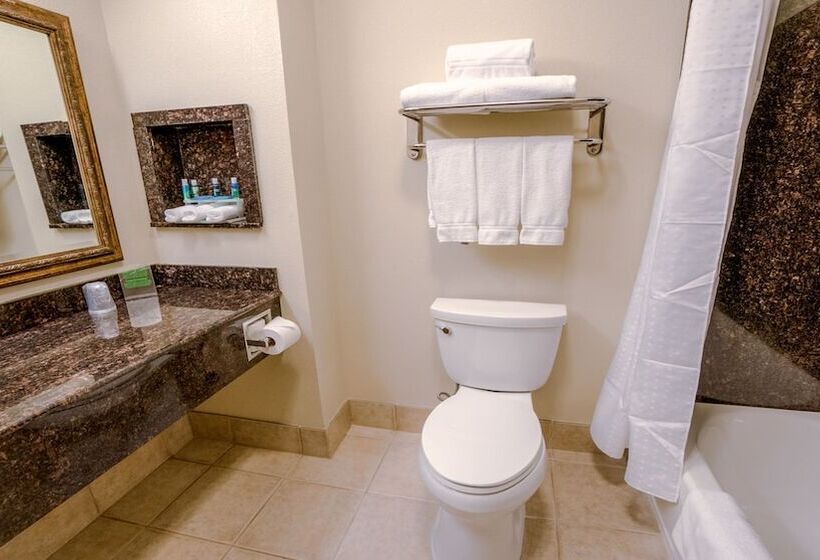 Люкс, Holiday Inn Express Hotel & Suites Pampa, An Ihg