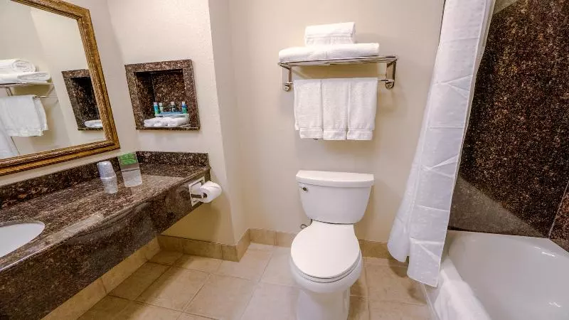 Sviitti King-vuode, Holiday Inn Express Hotel & Suites Pampa, An Ihg